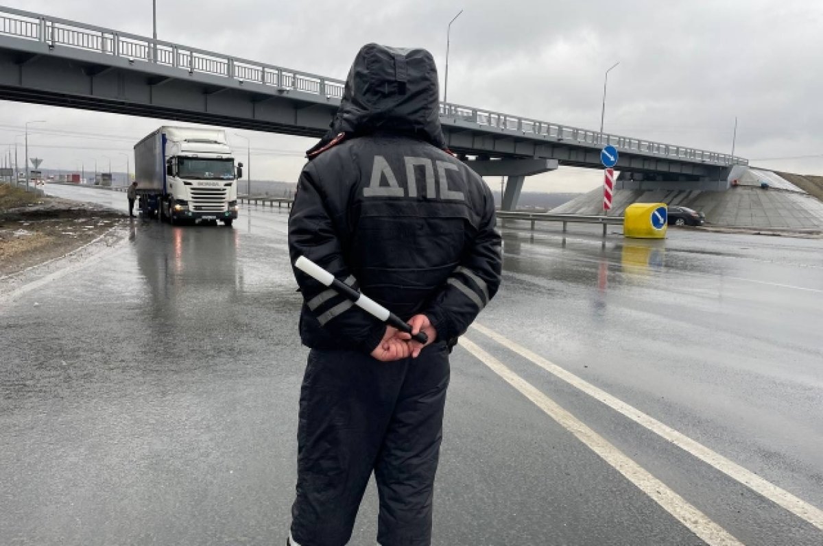 В Воронеже ГИБДД начали следить за водителями автобусов | АиФ Воронеж