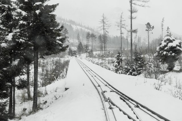Пассажиры поезда Томск – Адлер заявили, что их высадили ночью в глухом лесу в Пермском крае в ночь на 23 января.