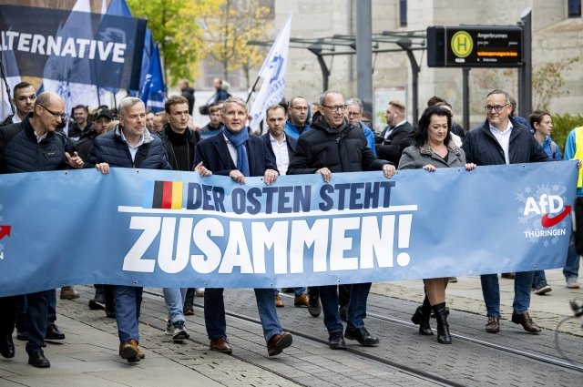 Демонстрация сторонников партии «Альтернативы для Германии». 
