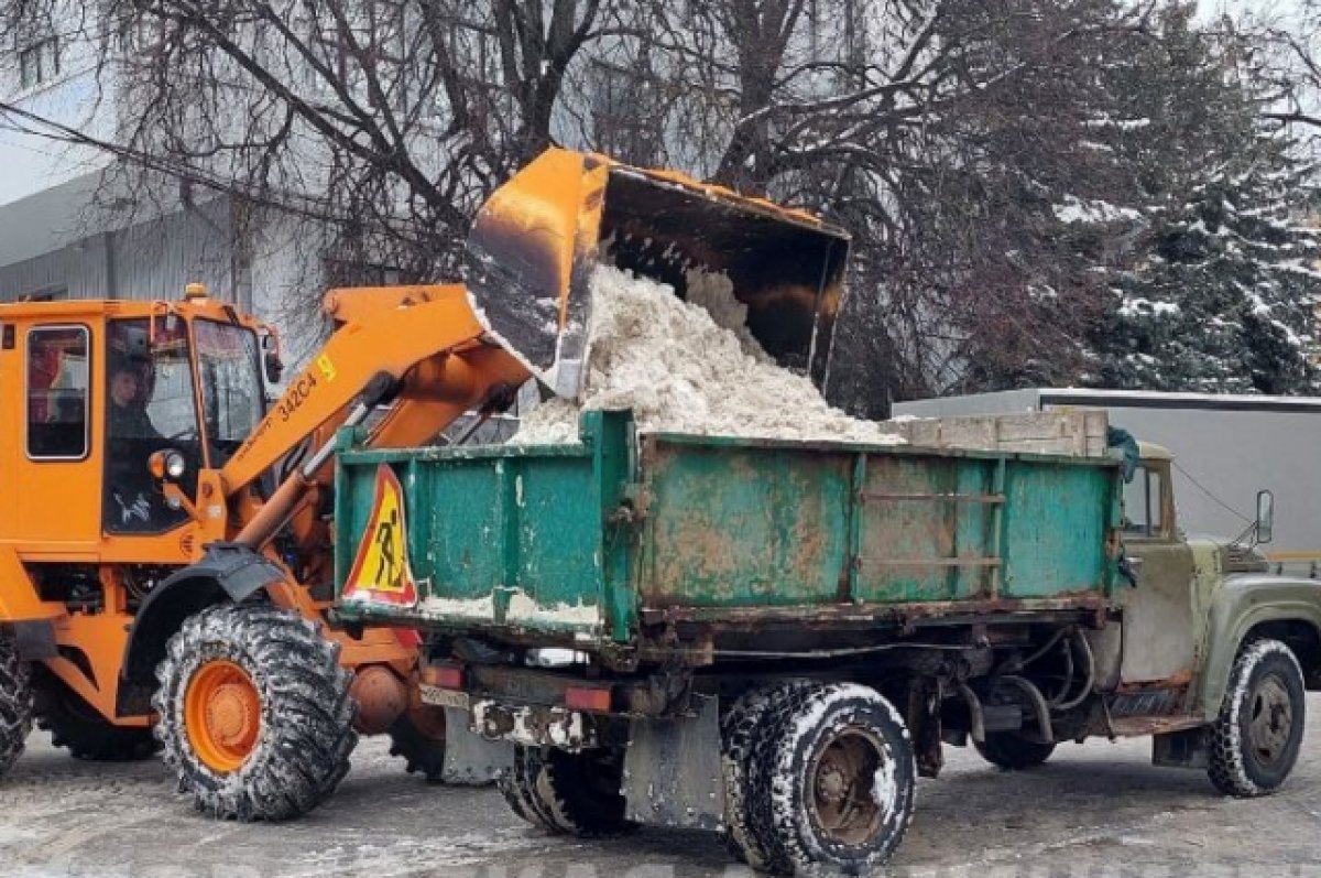 Дорожники Брянска за сутки вывезли около 1000 тонн снега