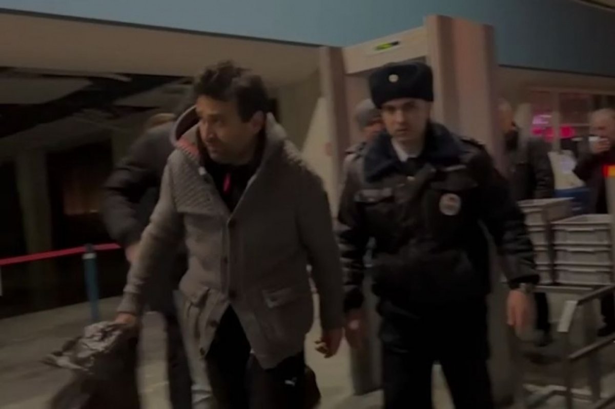Во Внуково задержали выданного Турцией россиянина, похитившего ₽272 млн