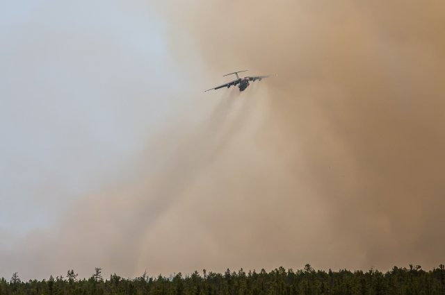 За время работы система выявила и отследила 88 природных пожаров.