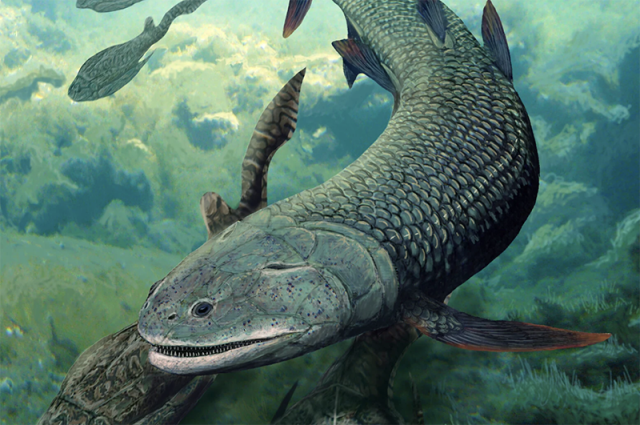 Речной монстр Учёные нашли древнюю рыбу с клыками и четырьмя конечностями0