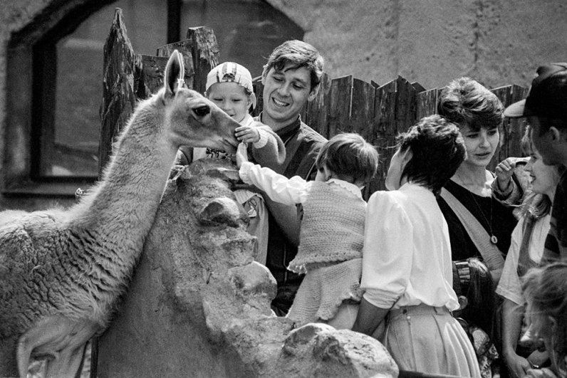 У вольера с ламой в Московском зоопарке. Сентябрь 1995 года.