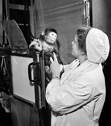 Рентгеноскопия обезьяны в ветеринарной лечебнице Московского зоопарка. 28 марта 1961 года.