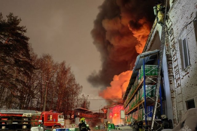 В тушении пожара принимали участие более 100 человек, на месте работали 33 единицы техники.