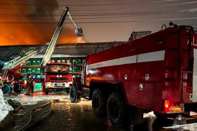 Пожар на производстве профессиональных моющих и химических средств начался ночью 17 февраля. 