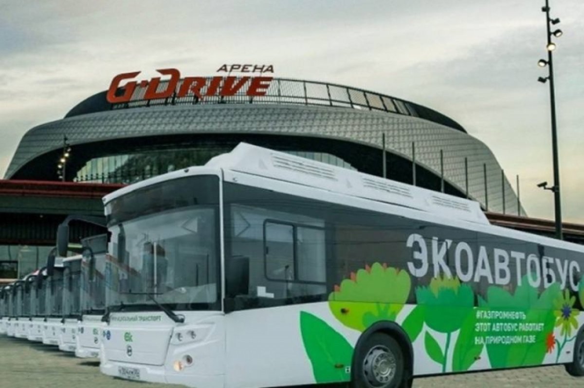 После концертов на G-Drive арене омичей развезут специальные автобусы | АиФ  Омск