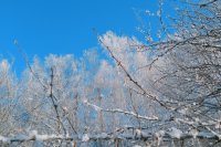 Погода на выходных будет спокойной и без осадков.