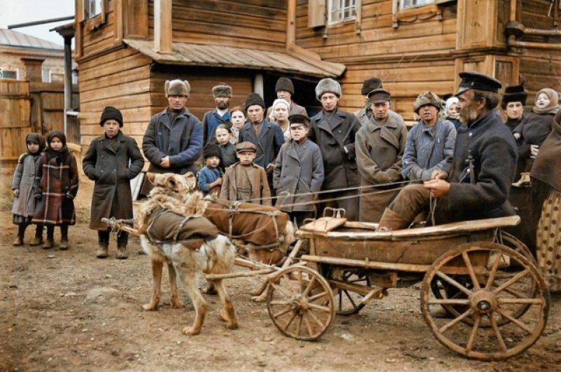 Красноярец Онипко в повозке, запряженной волками. 5 апреля 1909 года.