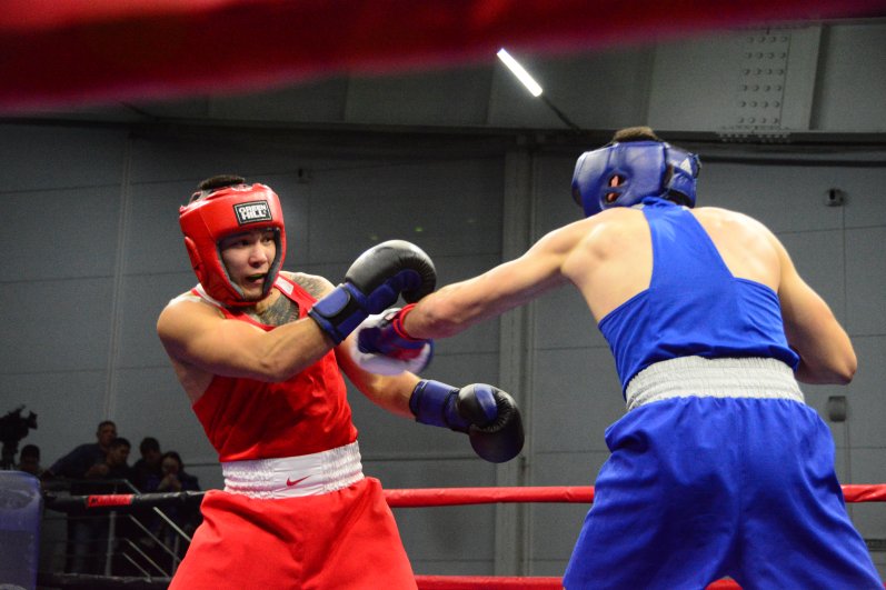 Турнир по боксу к 23 февраля в Иркутске.