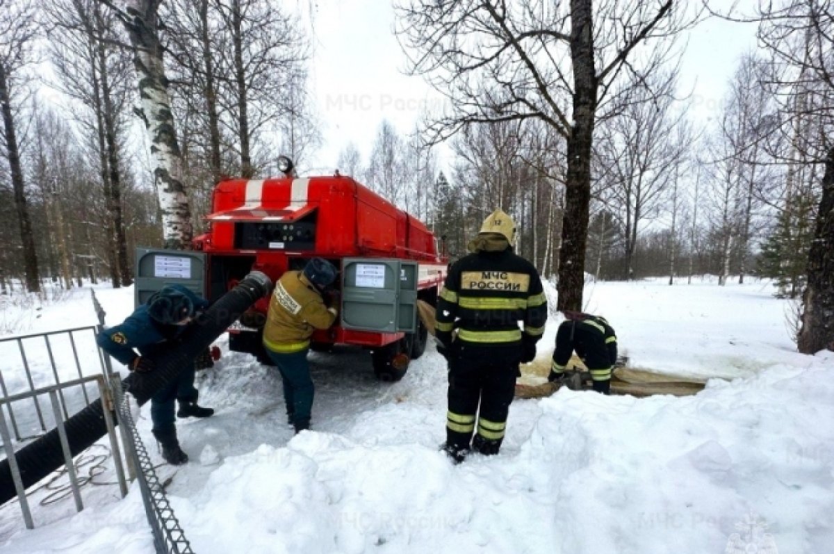 Пять пожаров произошло в Тверской области за сутки | АиФ Тверь