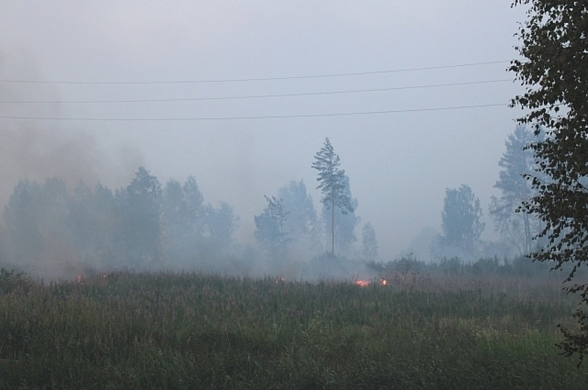 На Алтае будут чаще патрулировать леса для предотвращения пожаров