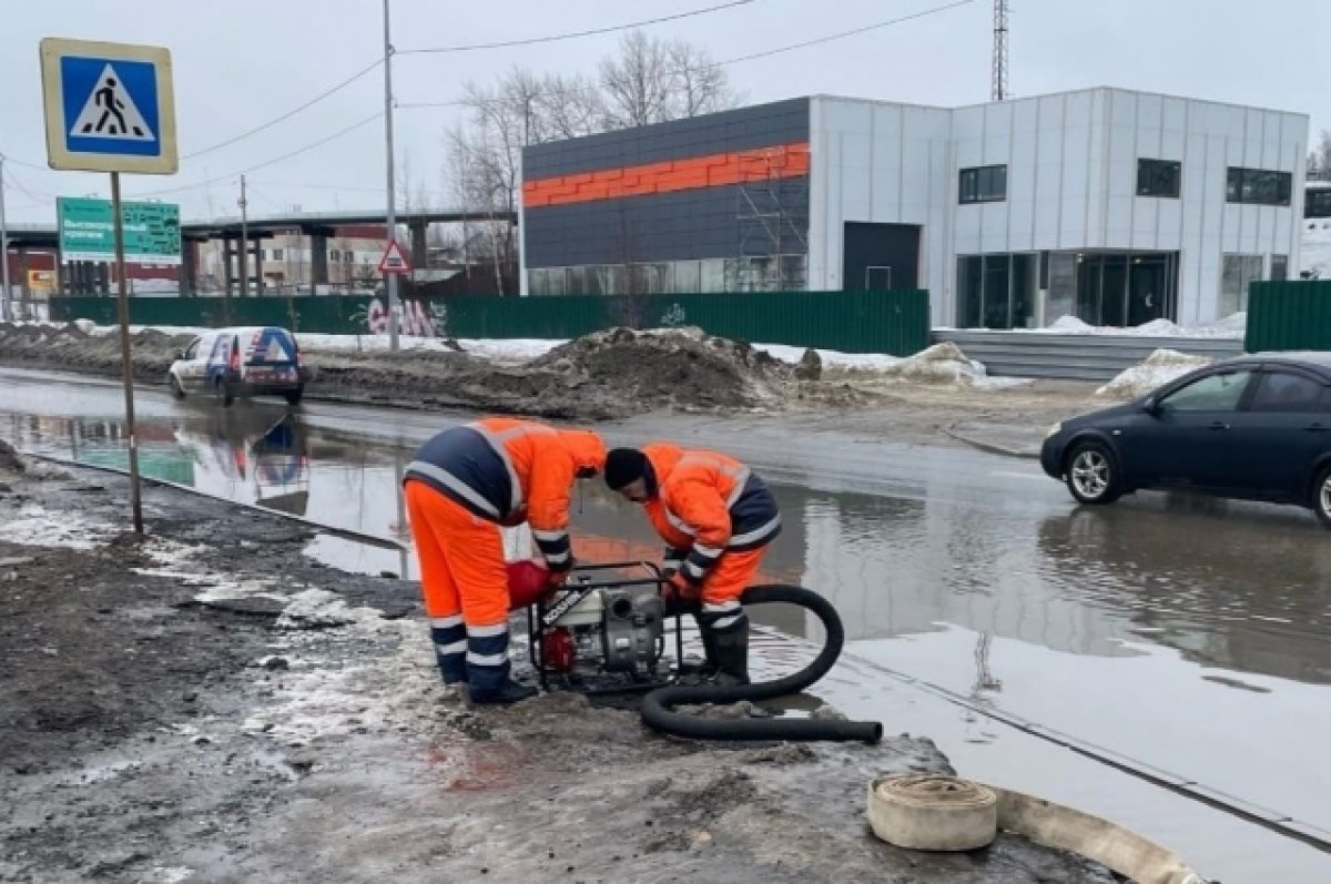 Глава Петрозаводска сообщила, как устраняют последствия оттепели в городе |  АиФ Карелия