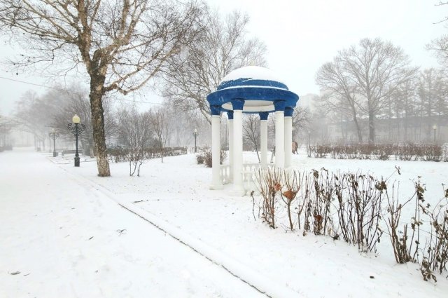 В Южно-Сахалинске днем без существенных осадков, температура -6…-8°С.