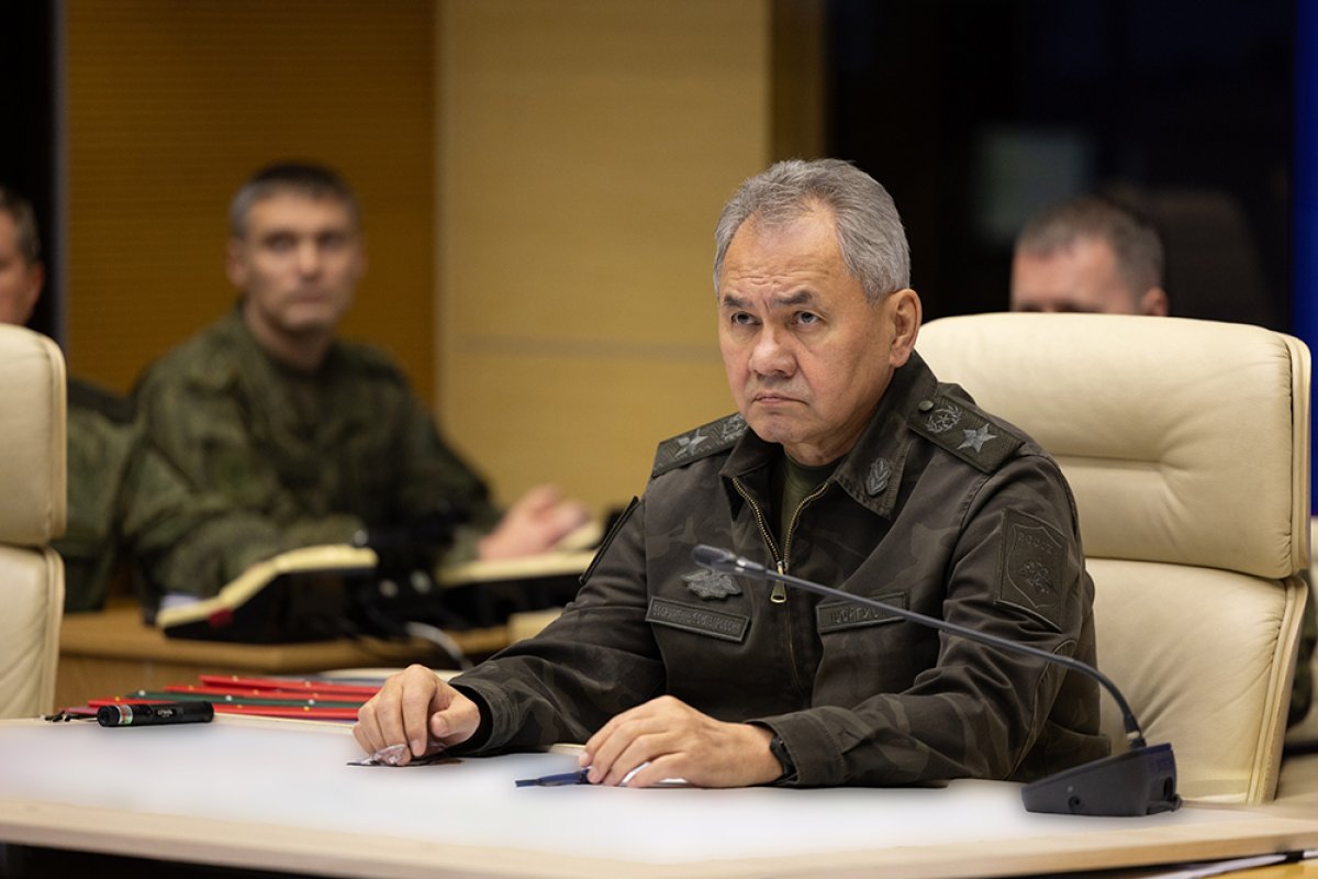Шойгу отметил рост численности боевиков ИГ в Центральной Азии