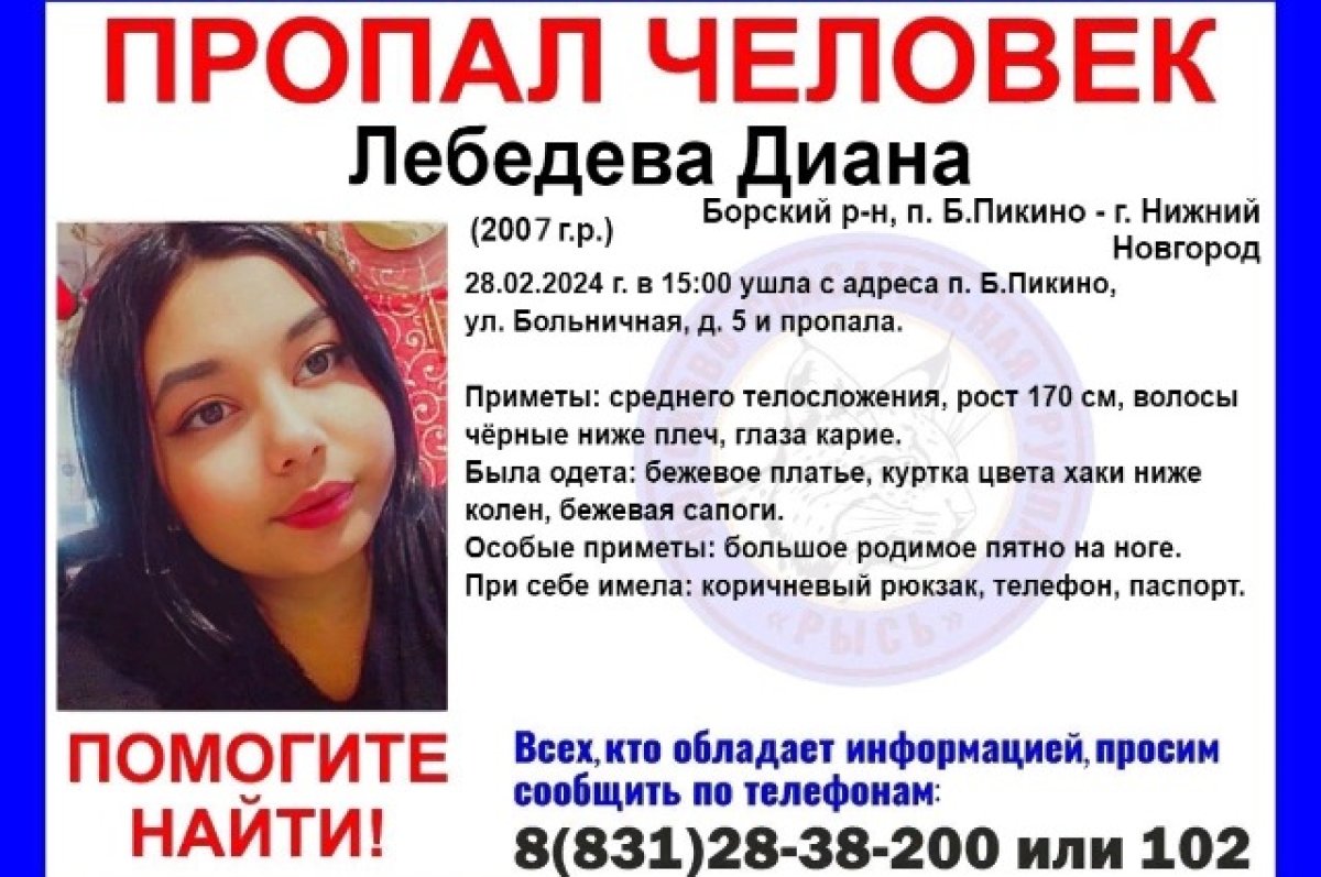 16-летняя Диана Лебедева пропала на Бору | АиФ Нижний Новгород