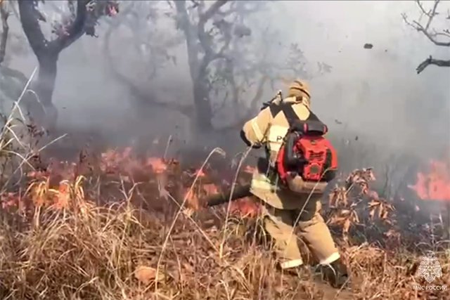Огненный смерч и тушение ландшафтных пожаров в Приморье