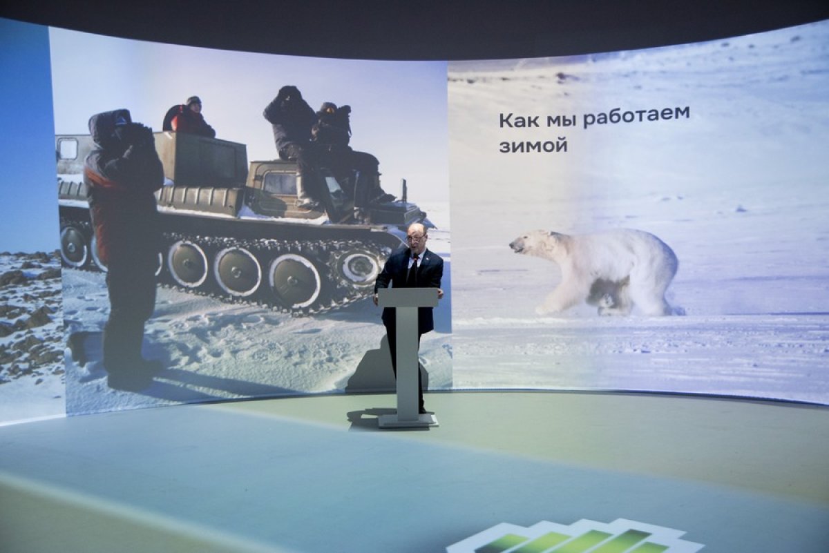 Арктический лакмус. «Роснефть» провела Дни белого медведя на ВДНХ
