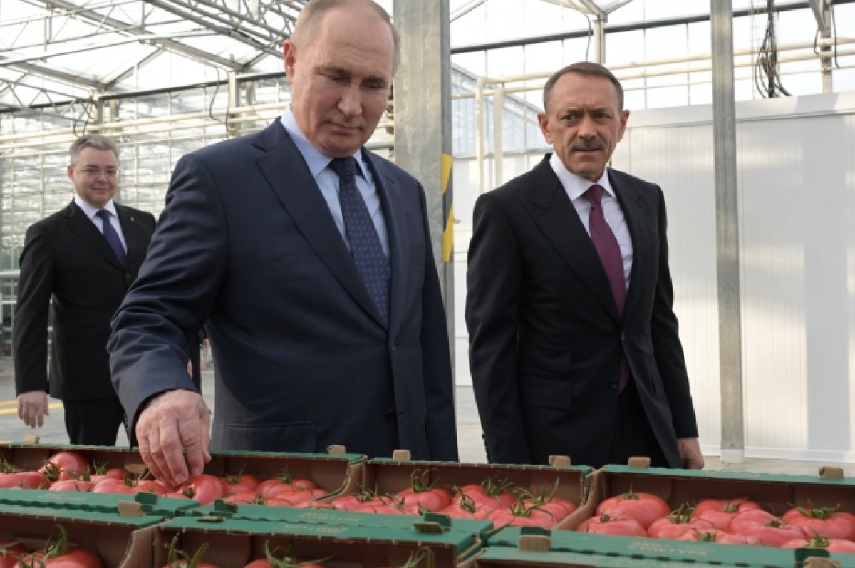 Путину на Ставрополье показали робота, который умеет собирать помидоры
