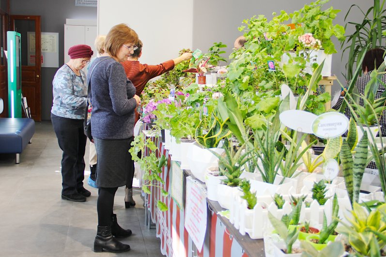 Выставка «Дарите женщинам цветы» в Иркутске.