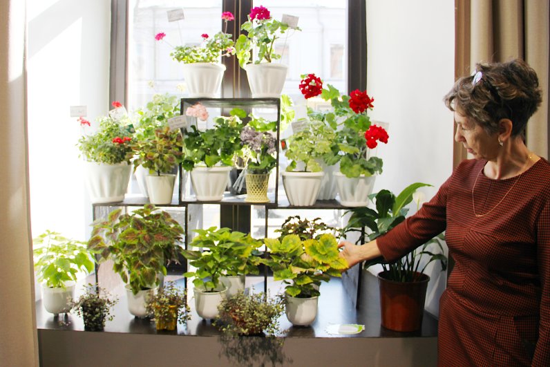 Выставка «Дарите женщинам цветы» в Иркутске.