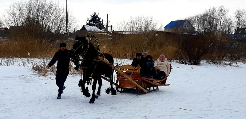 Гостей катали на санях.