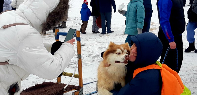 Хаски стали главными любимцами среди гостей. 