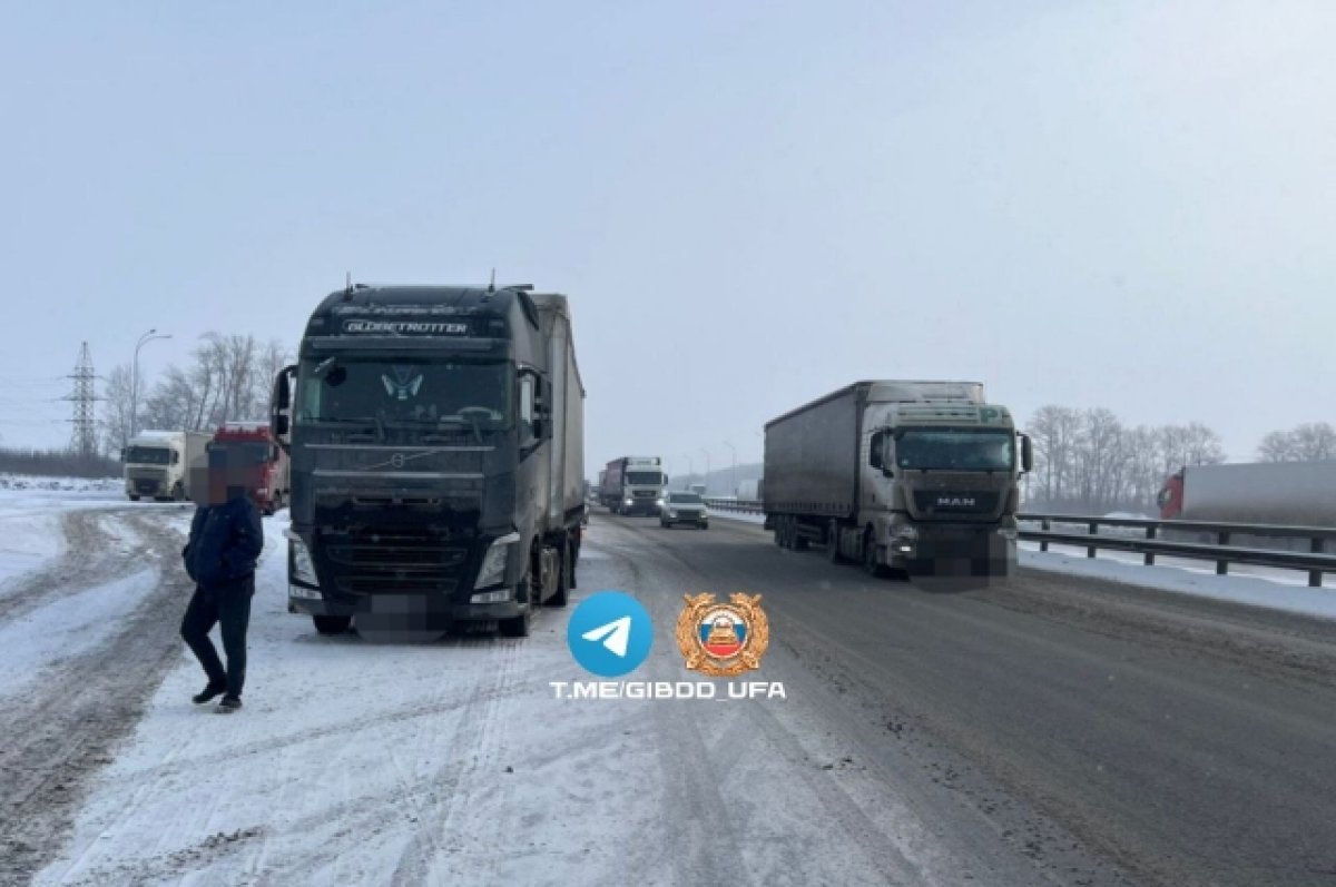 Под Уфой женщина выбежала на трассу и попала под грузовик | АиФ Уфа