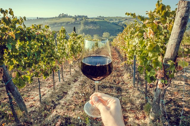 Про запас. Италия стала главным экспортером вина в Россию8