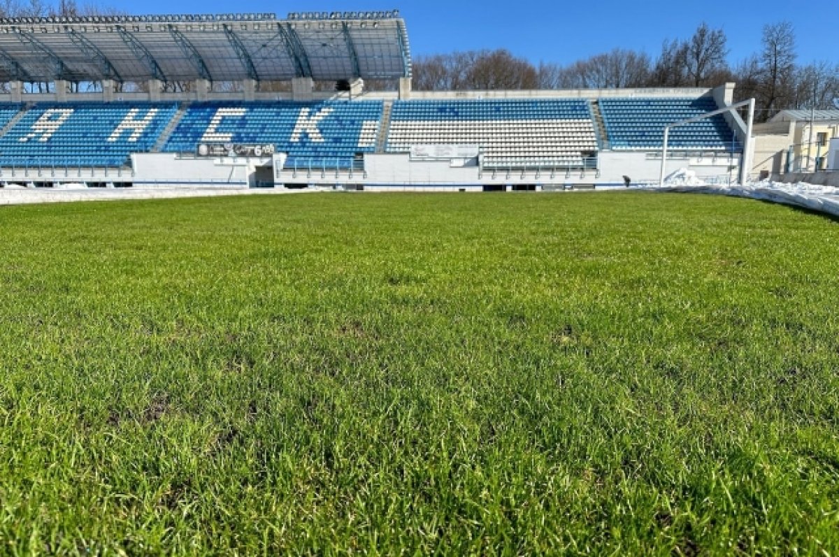 Состояние поля на брянском стадионе «Динамо» оценила комиссия ФНЛ