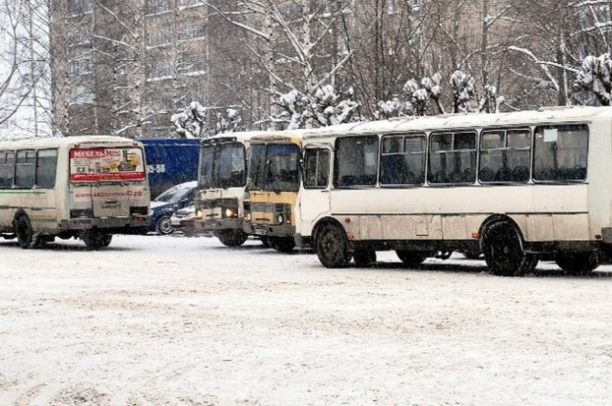 Владельцы маршрутных ПАЗиков массово продают автобусы в Оренбурге | АиФ  Оренбург