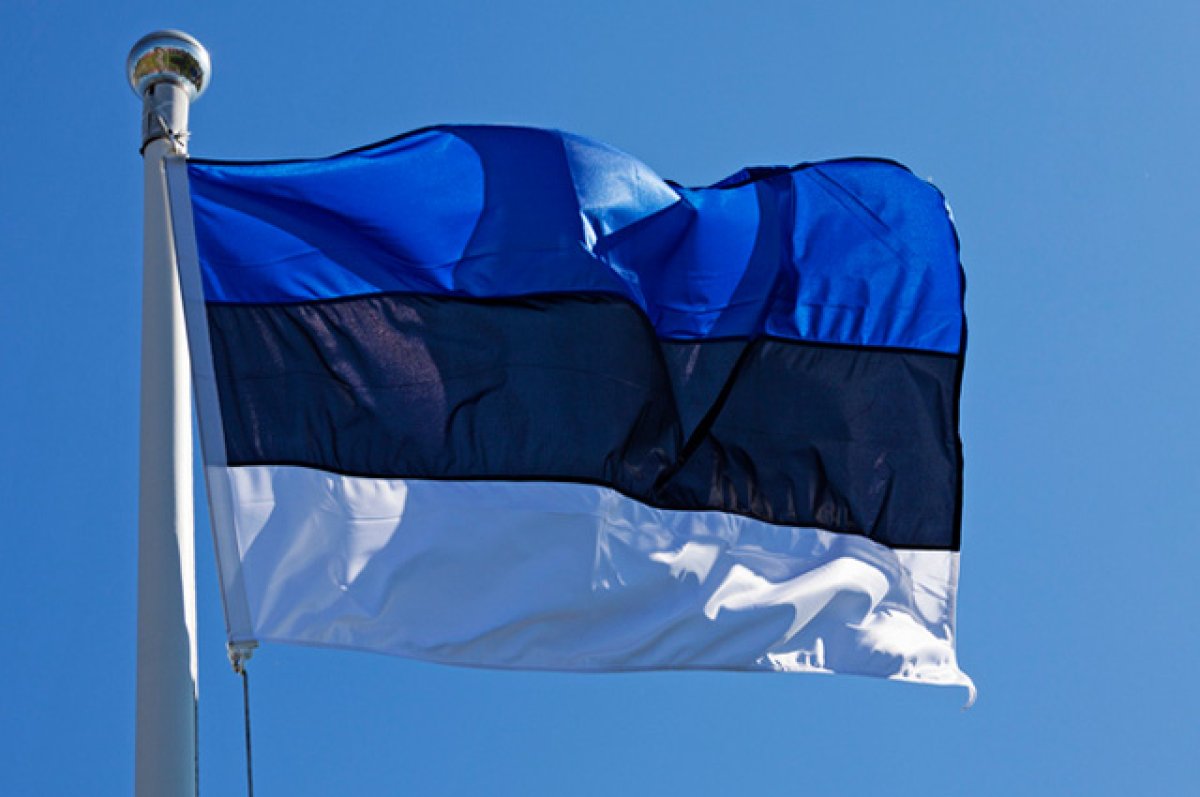 Эстония рекомендовала жителям не ездить в Россию на выборы президента
