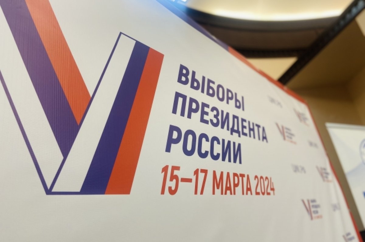 В Москве в ДЭГ уже проголосовали более 500 тыс. избирателей