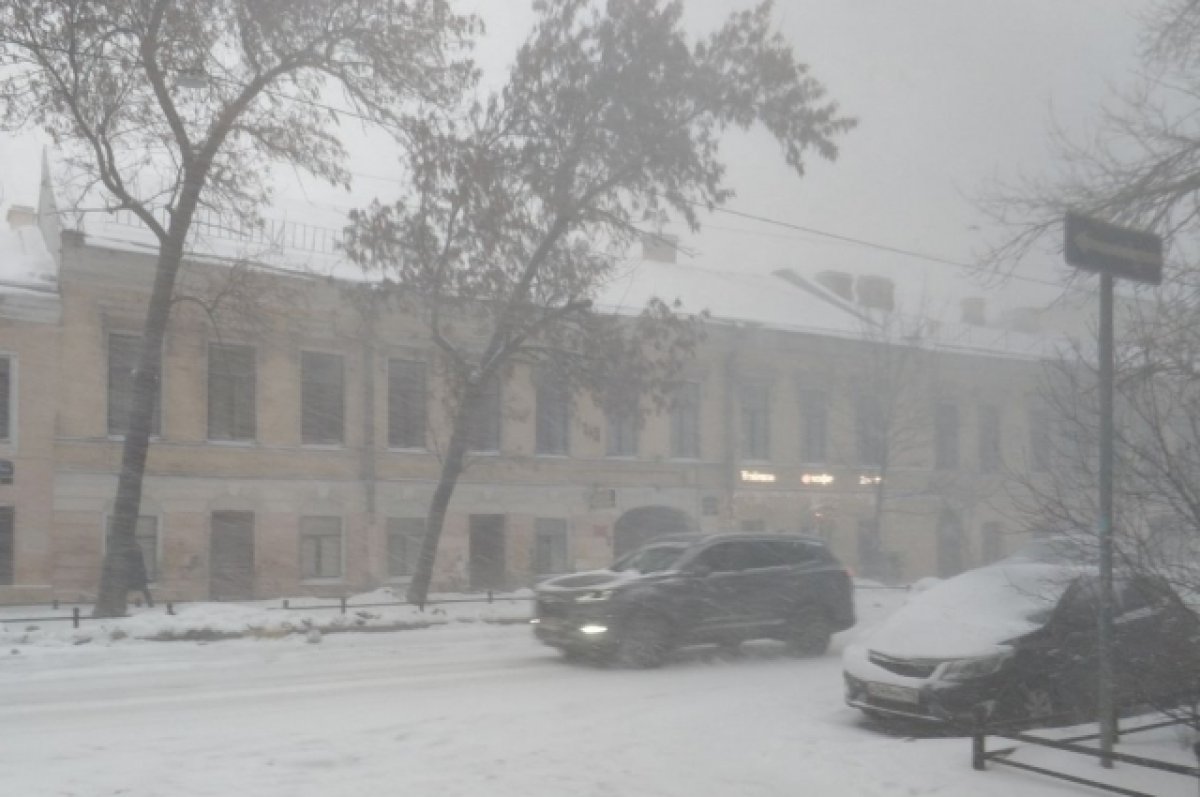 На Алтае объявили штормпрогноз из-за порывистого ветра до 28 мс