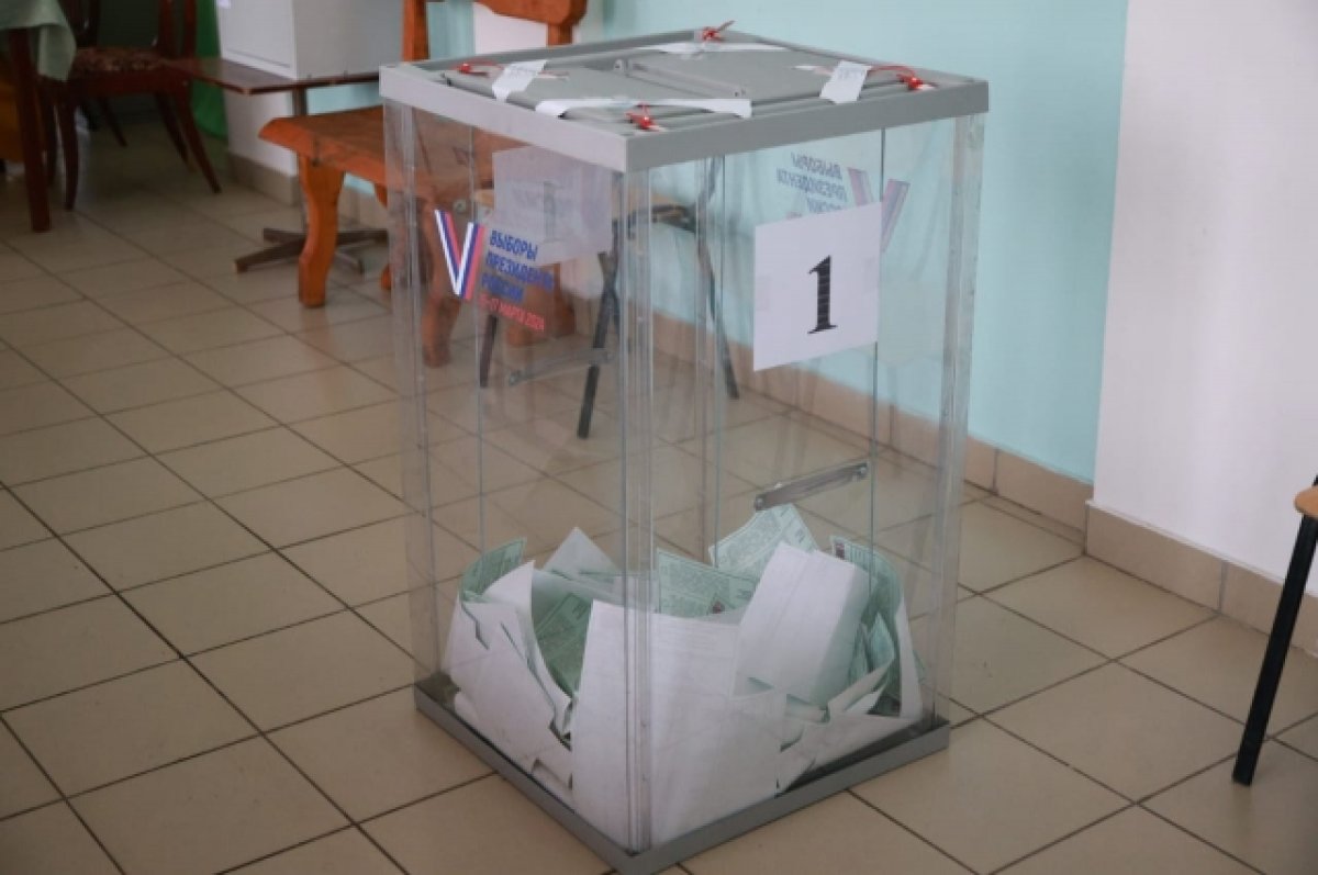 Избирком Алтайского края назвал явку на выборы президента за 15 марта