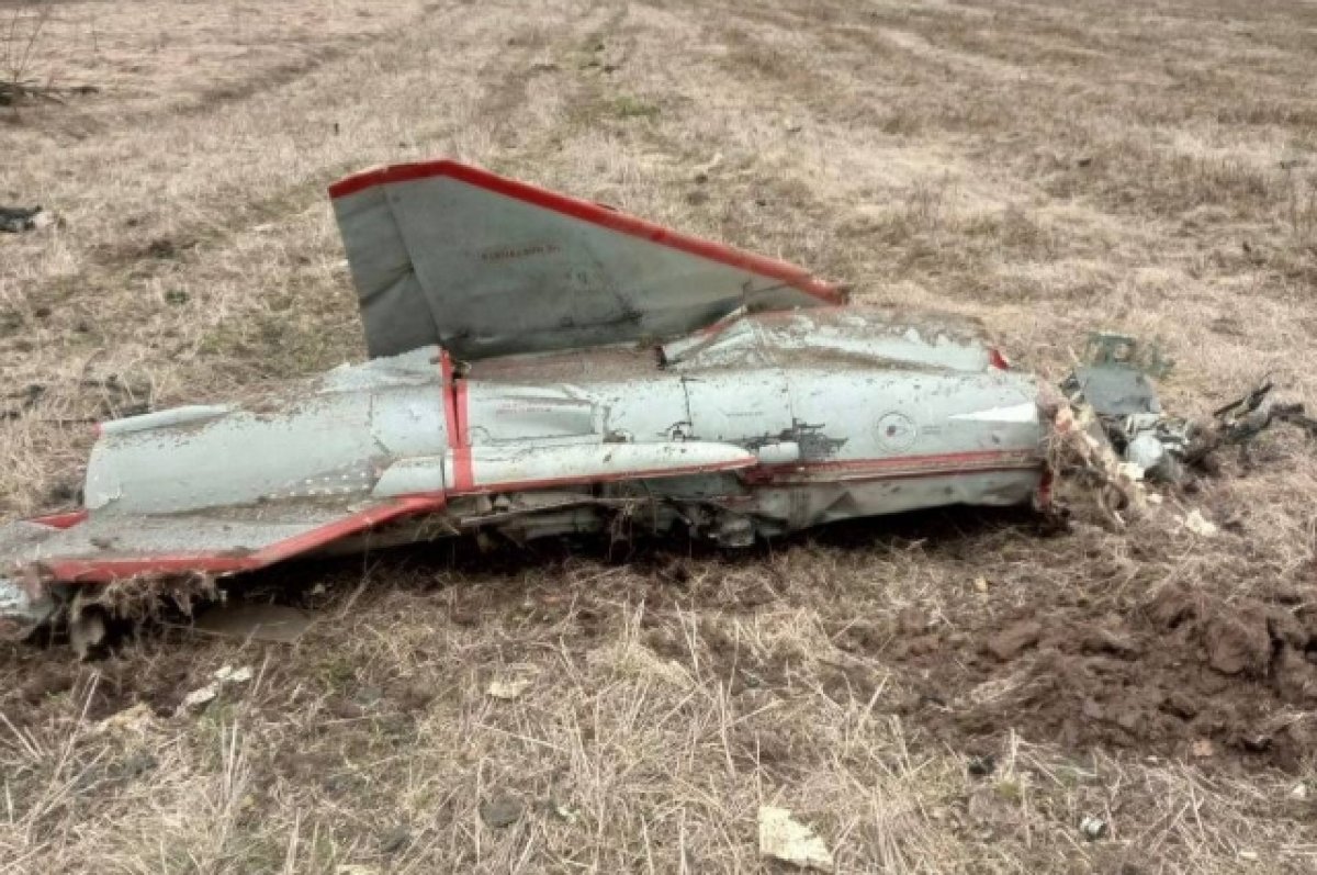 Александр Богомаз: силы ПВО России сбили в Брянской области БПЛА «Стриж»