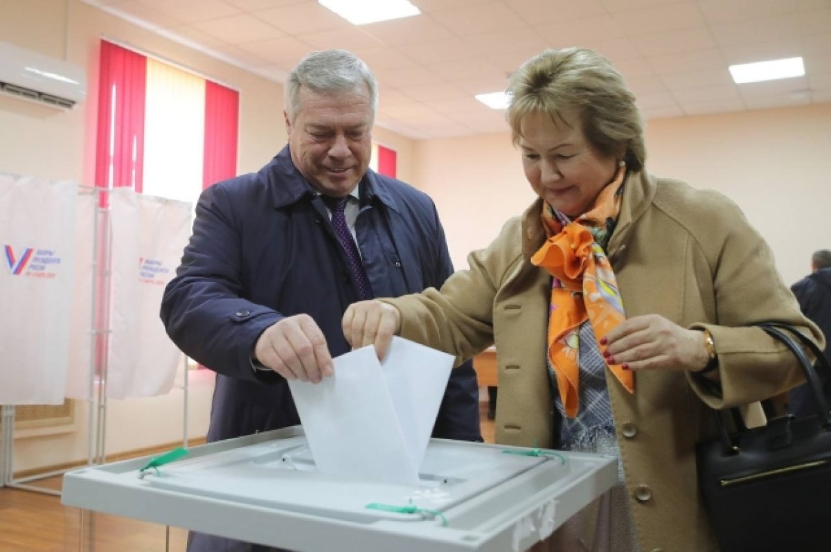 Губернатор Голубев объяснил, почему не выбрал электронное голосование