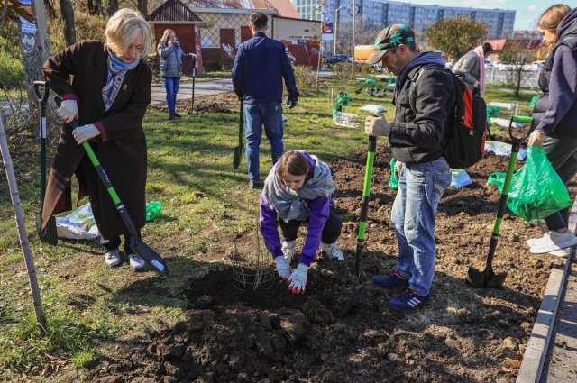 В Кирове городские субботники будут проходить с начала апреля по конец мая