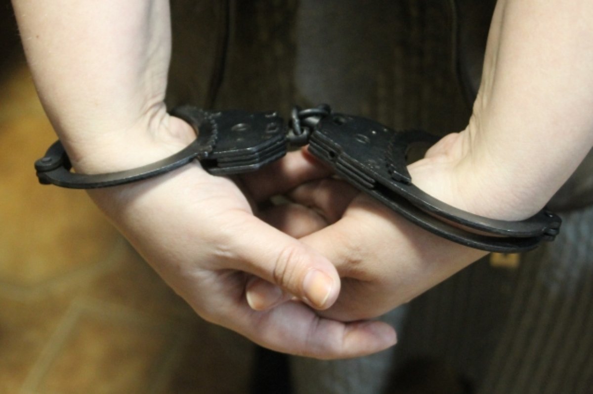 В Алтайском крае задержали мужчину, обвиняемого в призывах к терроризму