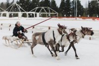 В этом году традиционный праздник пришлось отменить. 