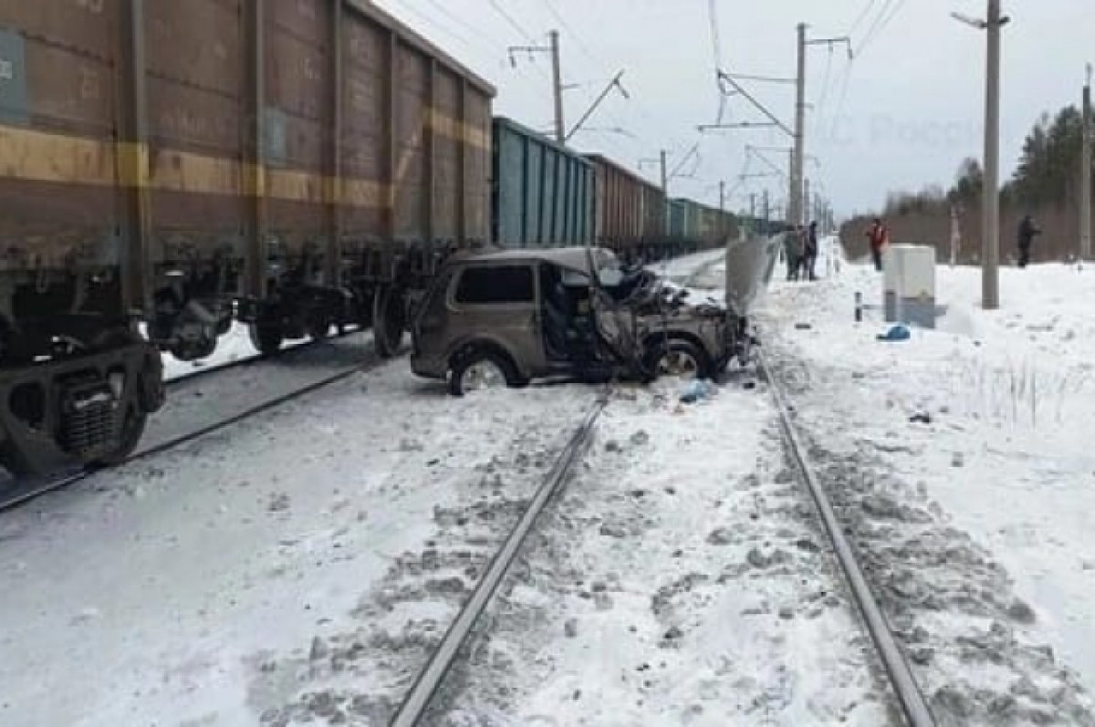 Уступи дорогу поезду! | АиФ Архангельск