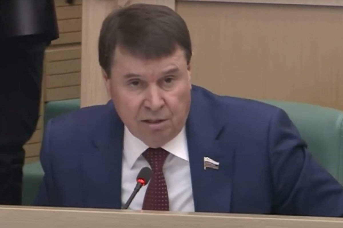 Сенатор Цеков назвал идеальным избирательный процесс на выборах в РФ
