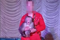 В Красноярске мужчина был на гастролях вместе со своей обезьянкой.