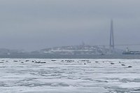 Ларги на льду у Токаревского маяка во Владивостоке