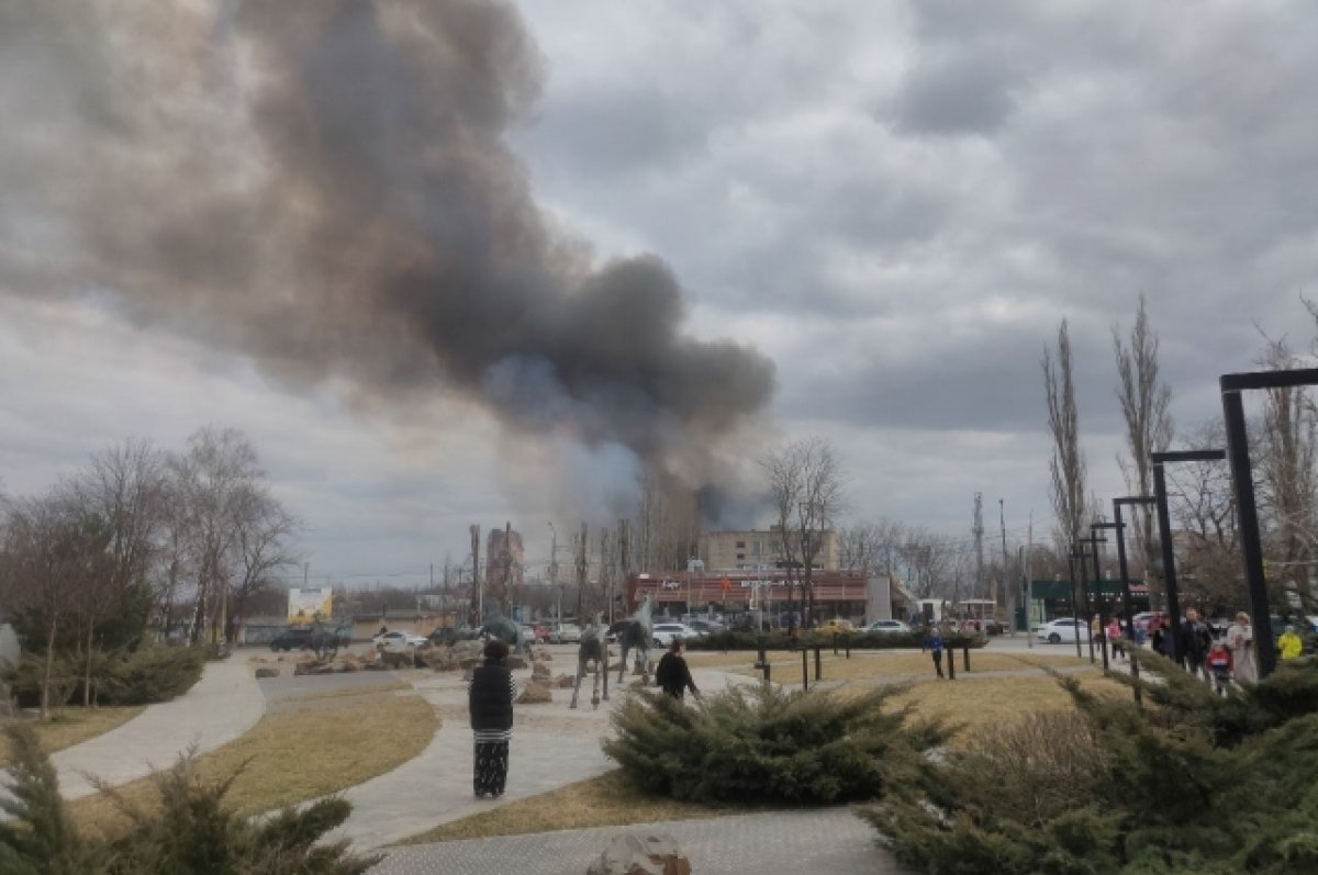 Мухина Балка загорелась в донском городе Аксай 24 марта