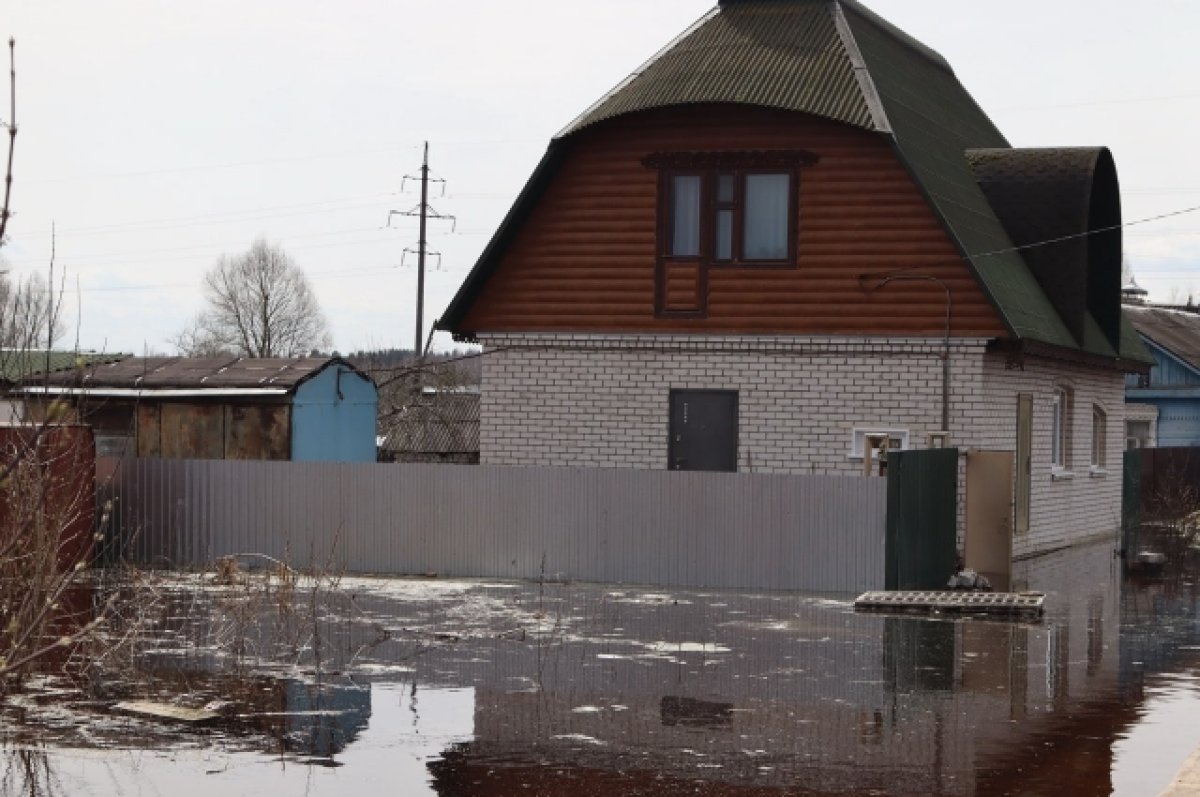 В Брянской области паводок затопил 11 приусадебных участков