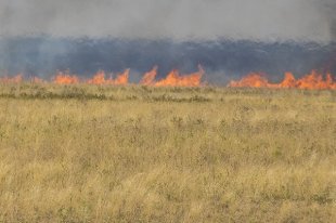 Заксобрание Прибайкалья одобрило введение должности первого зампреда