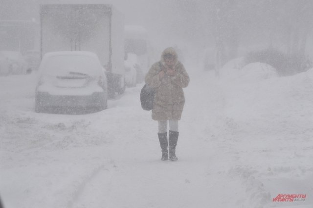 В МЧС по Удмуртской Республике рассказали, что в регион придут снегопады и ветра