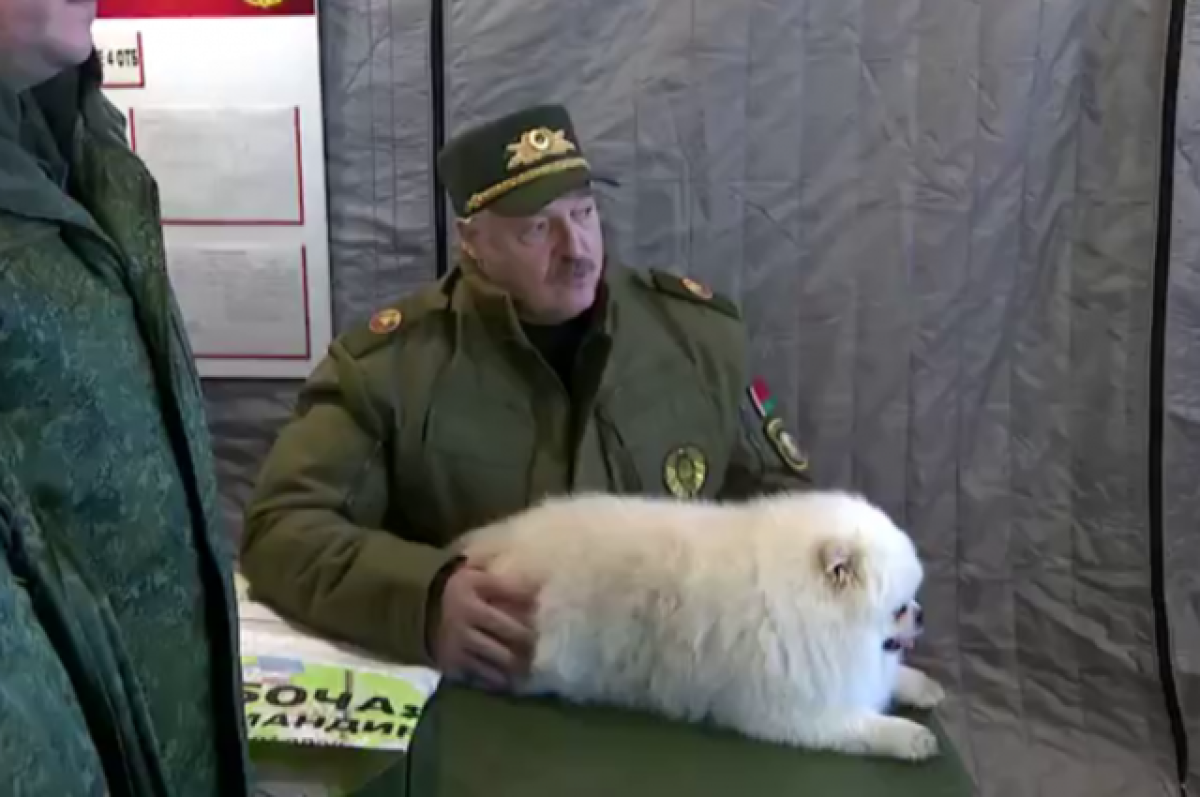 Зоозащитница Базаркина заявила о наличии ожирения у пса Лукашенко